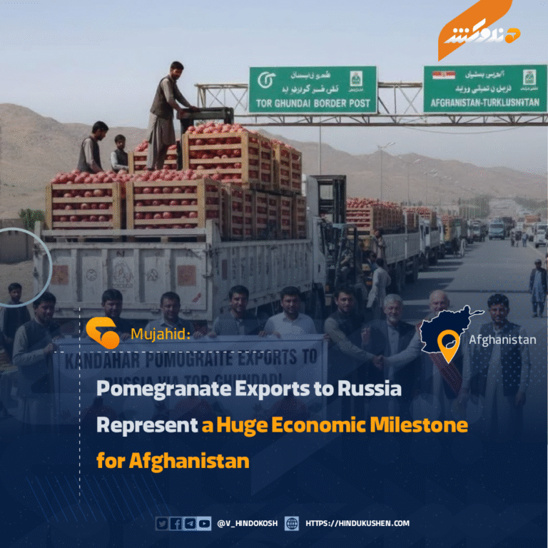 Mujahid: Pomegranate Exports to Russia Represent a Huge Economic Milestone for Afghanistan