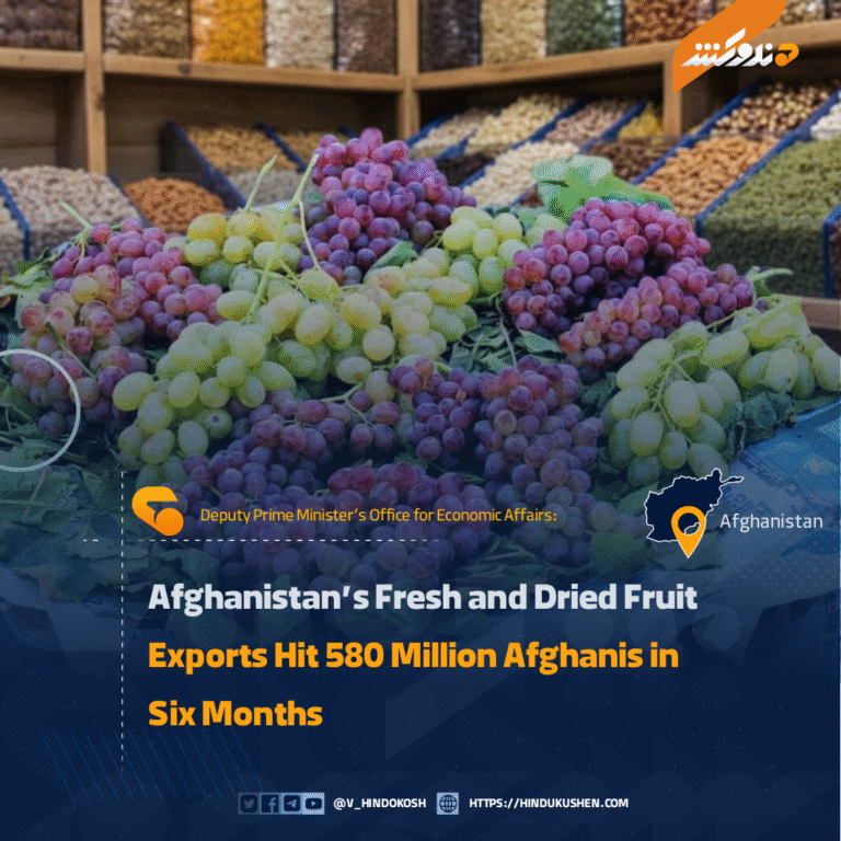 Afghanistan’s Fresh and Dried Fruit Exports Hit 580 Million Afghanis in Six Months