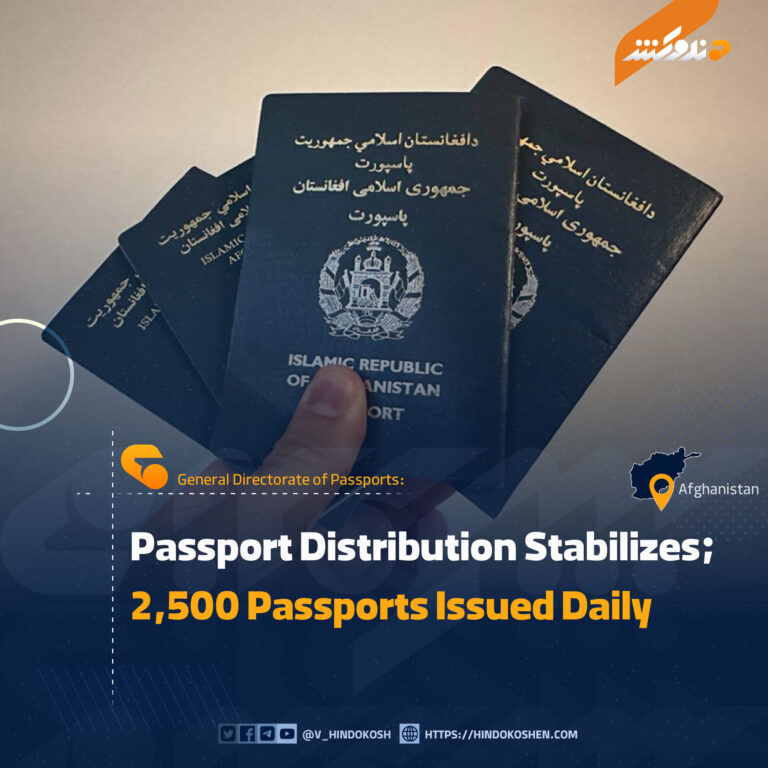 Passport Distribution Stabilizes; 2,500 Passports Issued Daily