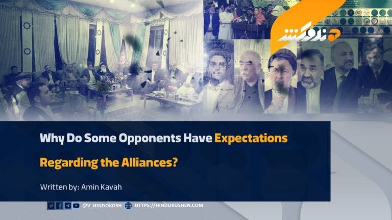 Why Do Some Opponents Have Expectations Regarding the Alliances?