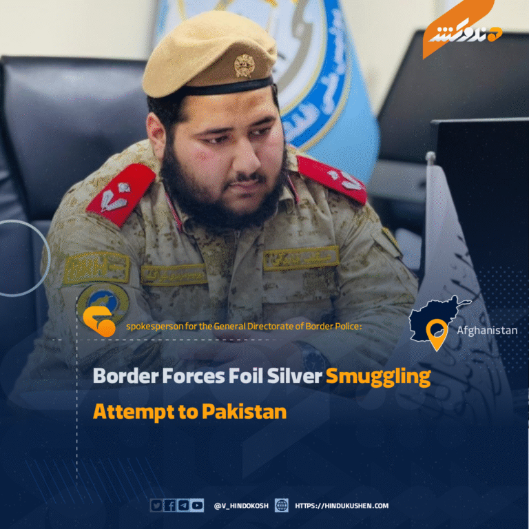 Border Forces Foil Silver Smuggling Attempt to Pakistan