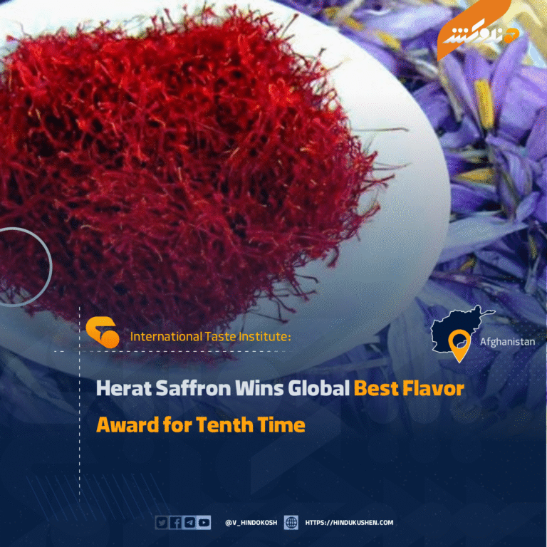 Herat Saffron Wins Global “Best Flavor” Award for Tenth Time