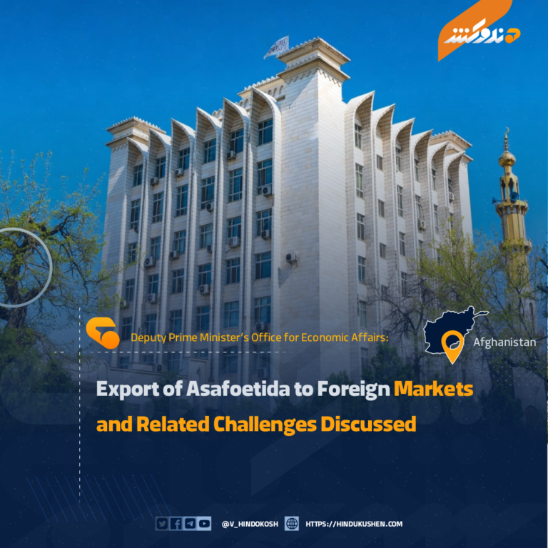 Export of Asafoetida to Foreign Markets and Related Challenges Discussed