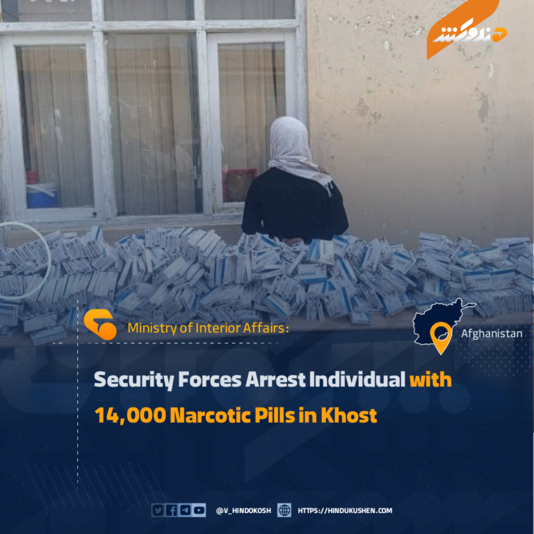 Security Forces Arrest Individual with 14,000 Narcotic Pills in Khost