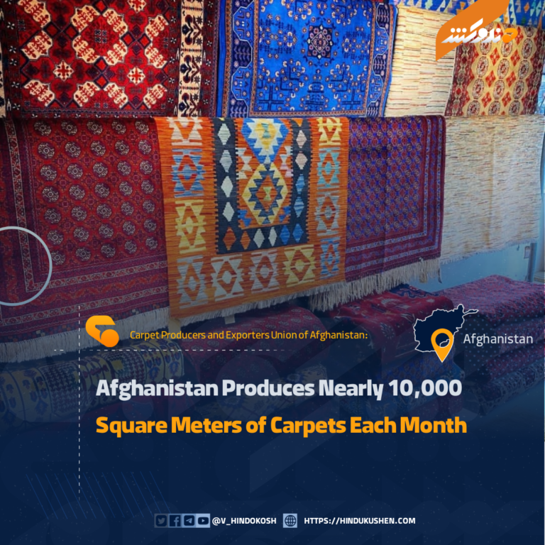 Afghanistan Produces Nearly 10,000 Square Meters of Carpets Each Month
