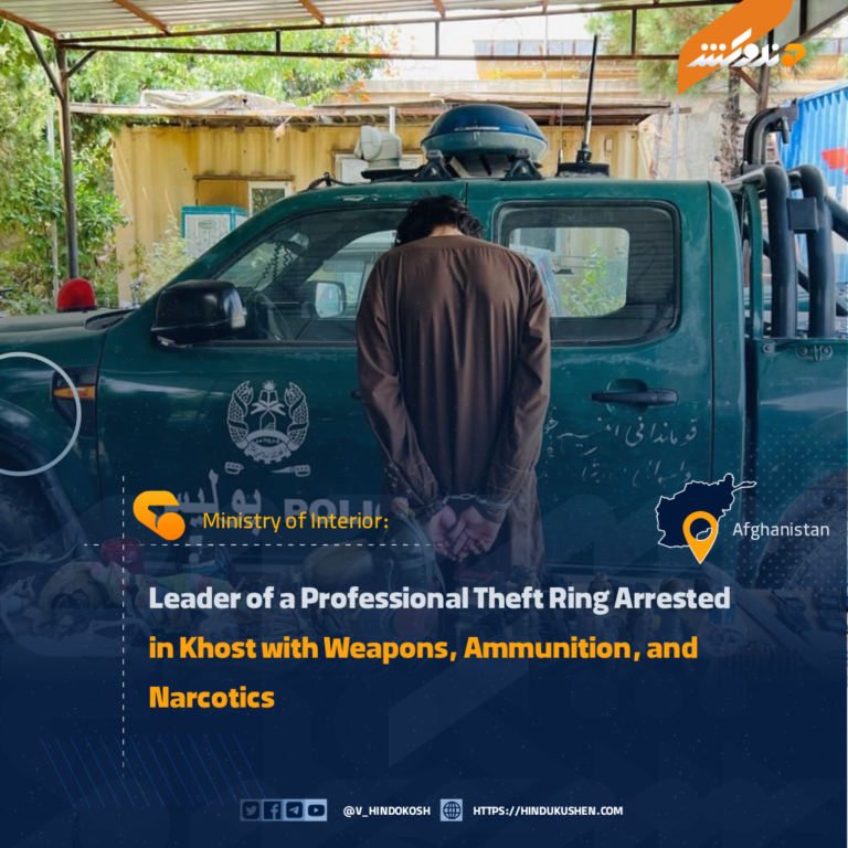 Leader of a Professional Theft Ring Arrested in Khost with Weapons, Ammunition, and Narcotics