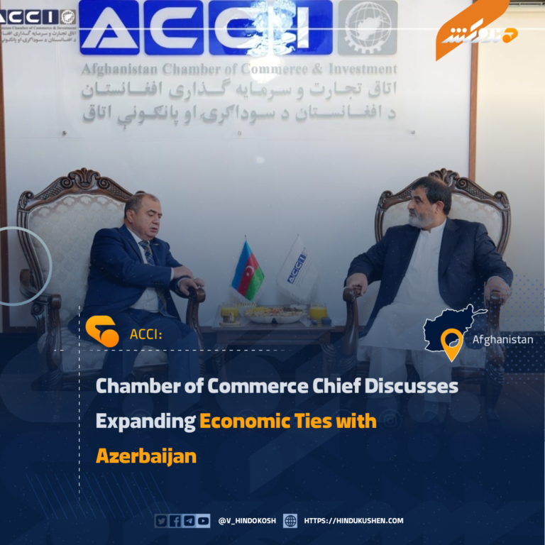 Chamber of Commerce Chief Discusses Expanding Economic Ties with Azerbaijan