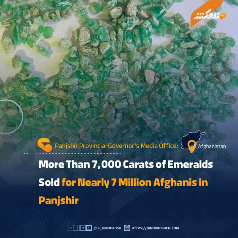 More Than 7,000 Carats of Emeralds Sold for Nearly 7 Million Afghanis in Panjshir