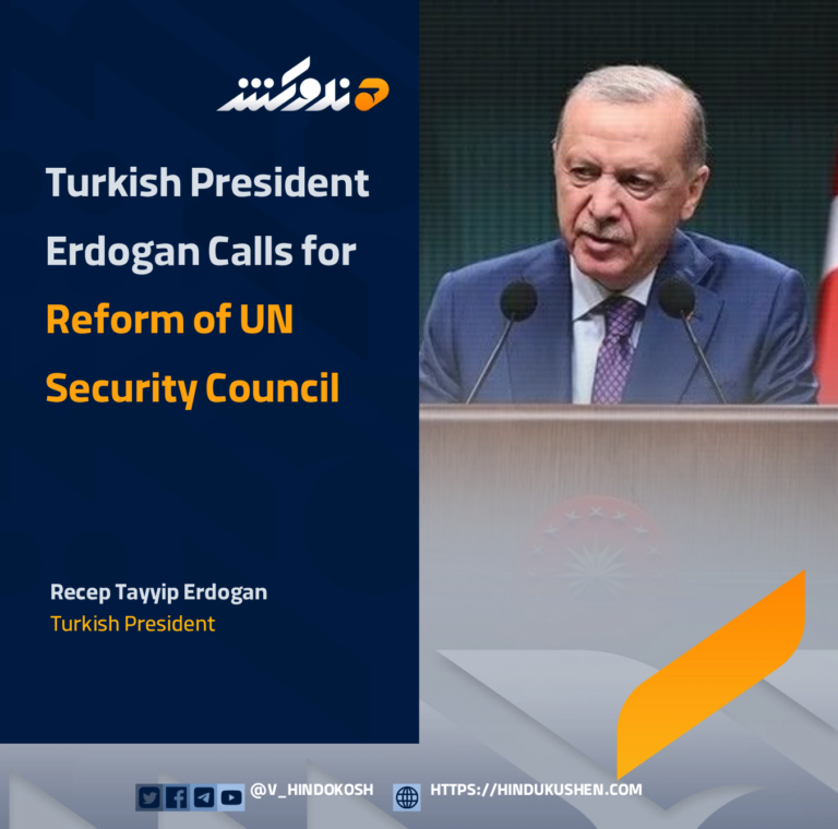 Turkish President Erdogan Calls for Reform of UN Security Council